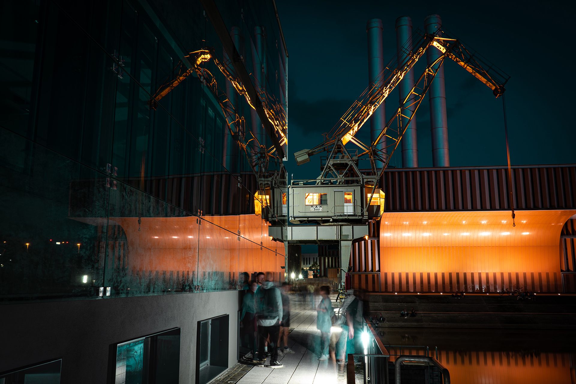 Alooh Bombay duck, lefteye flounder deep sea