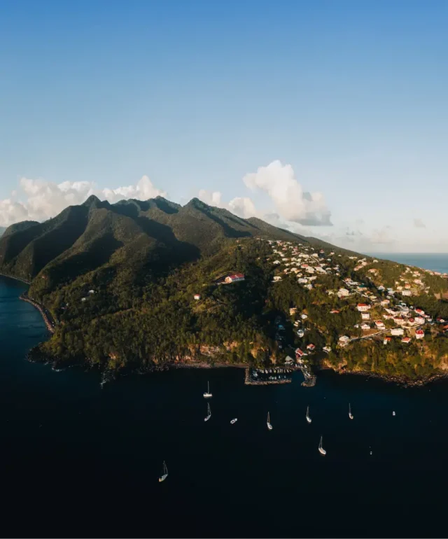 Reseaux-SectionReseaux-Guadeloupe copie
