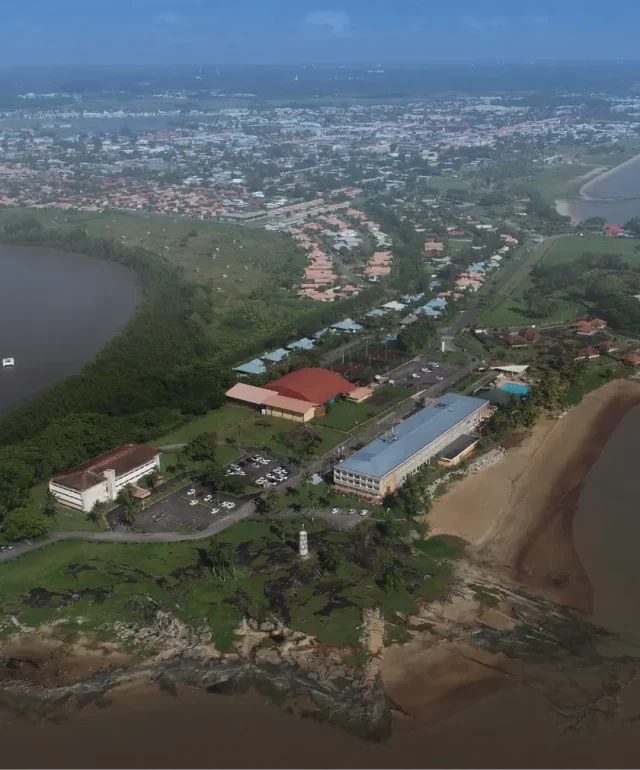 Reseaux-SectionReseaux-Guyane copie