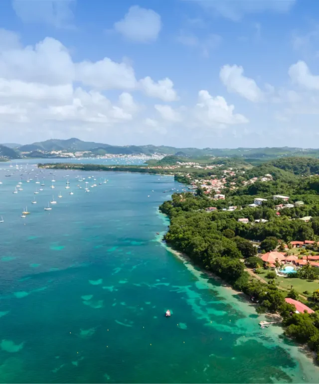 Reseaux-SectionReseaux-Martinique copie